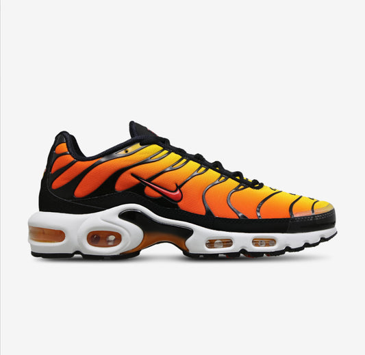 Nike Air Max Plus